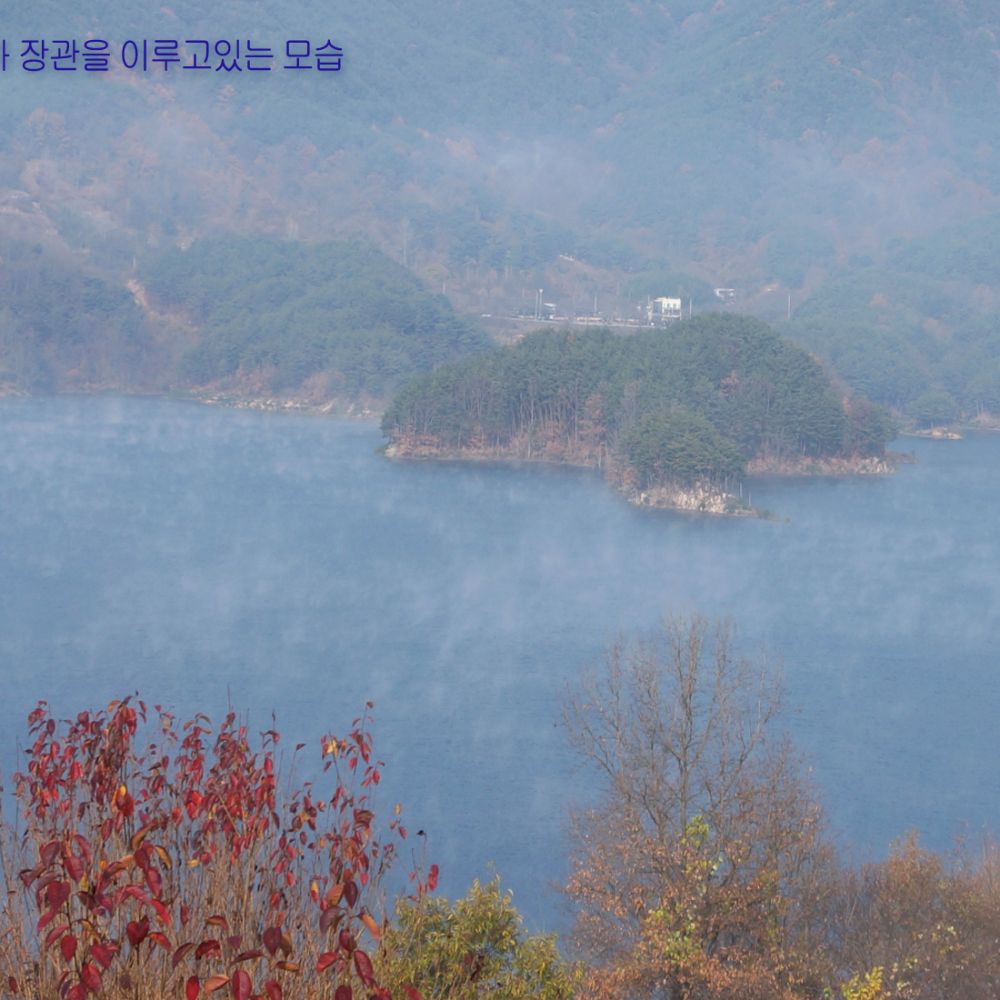 주간전경