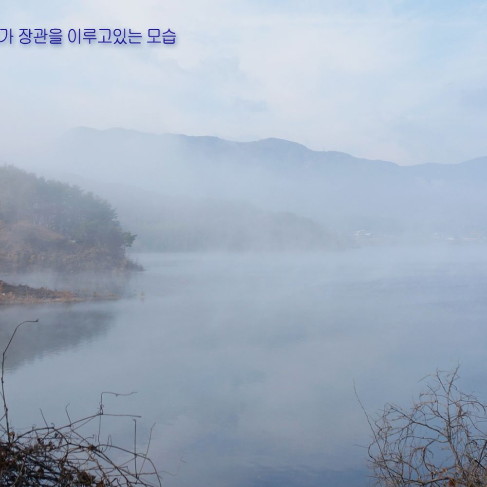 주간전경