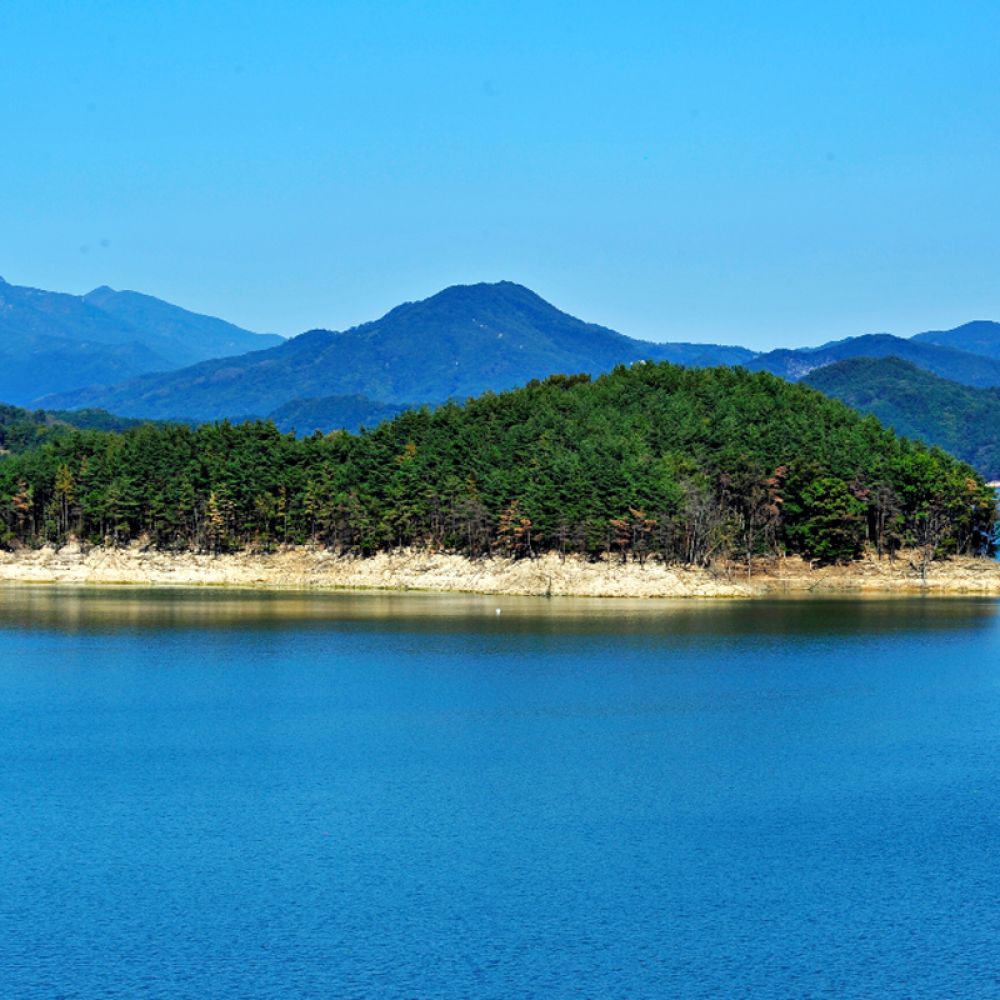 주간전경