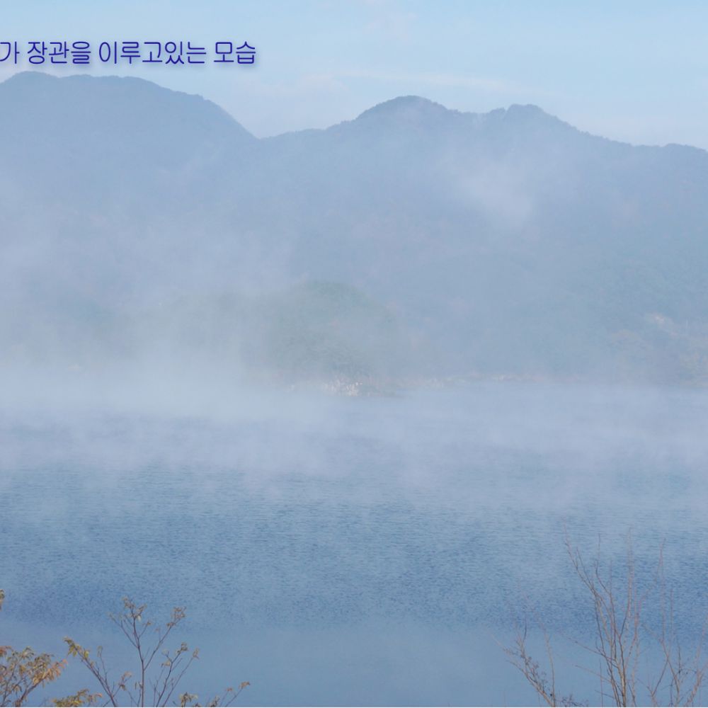주간전경