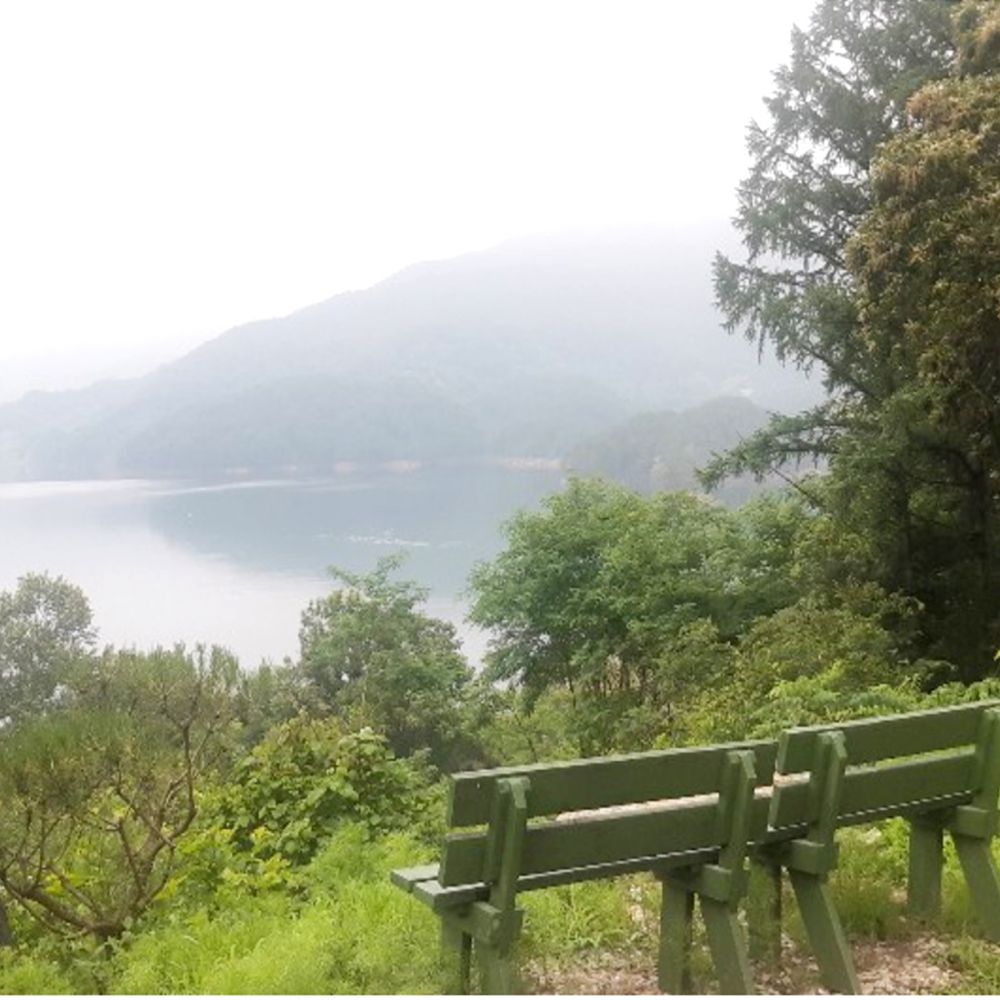 주간전경