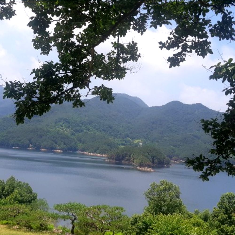 주간전경