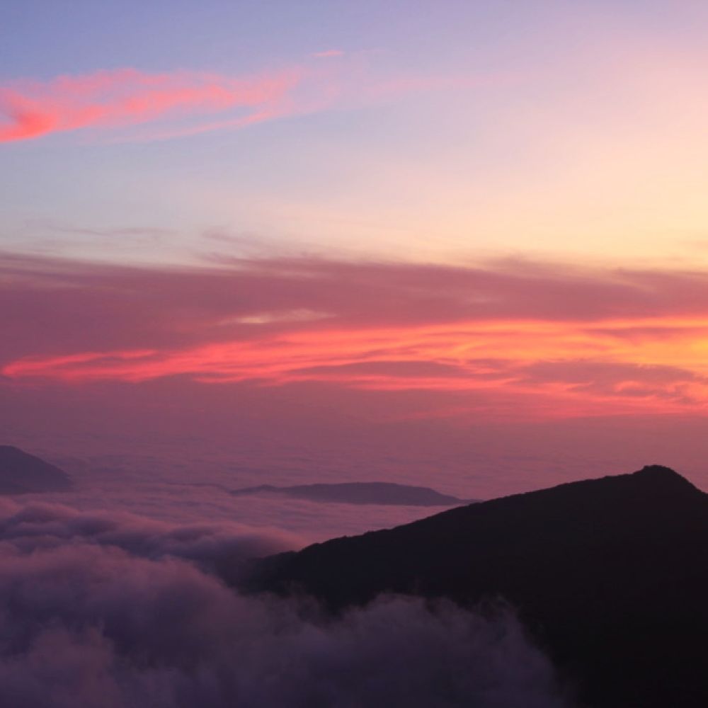 주간전경