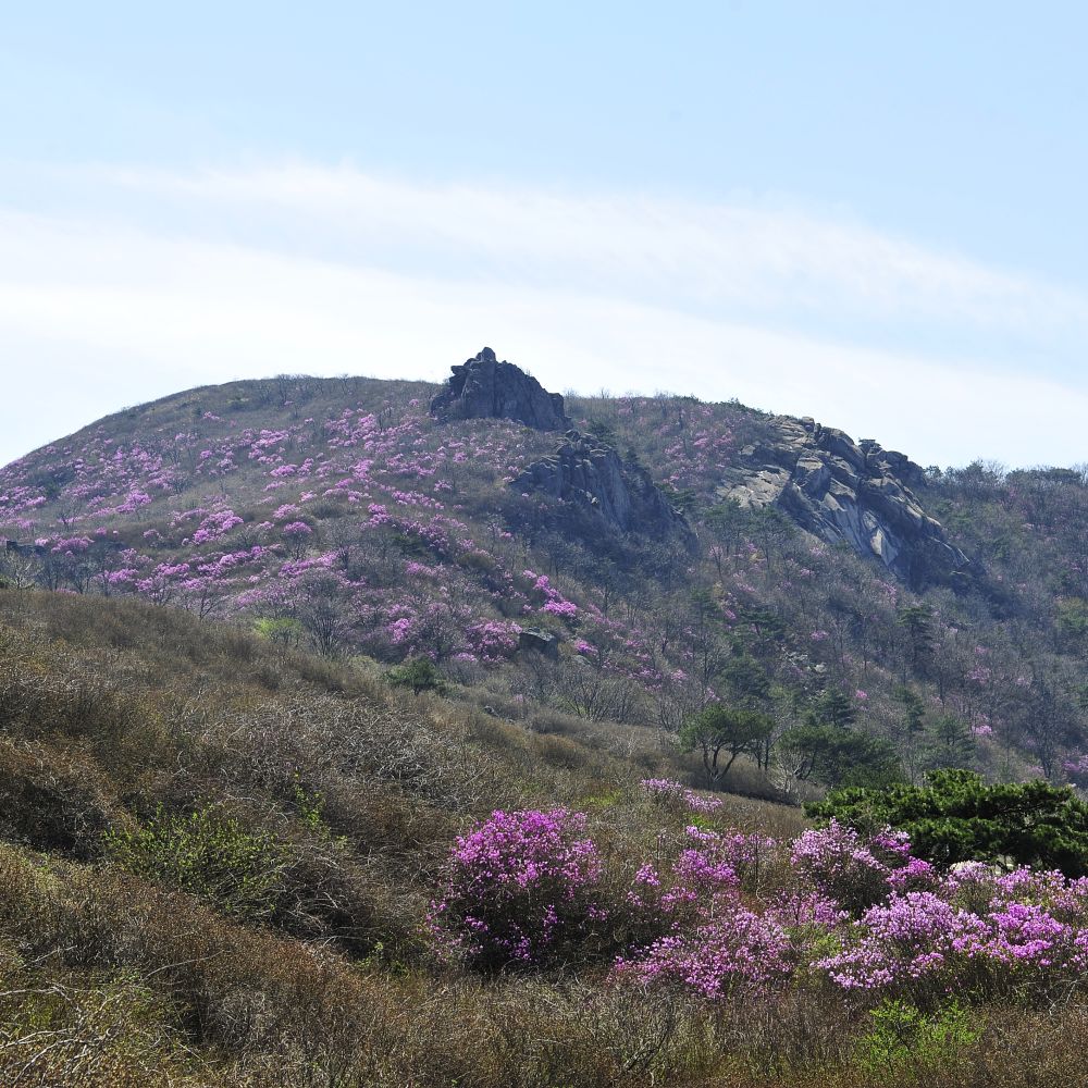 주간전경